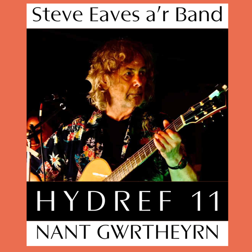 Stebe Eaves a'r Band